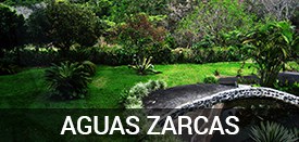 Aguas Zarcas