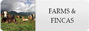 farms and fincas