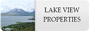 lakeview properties