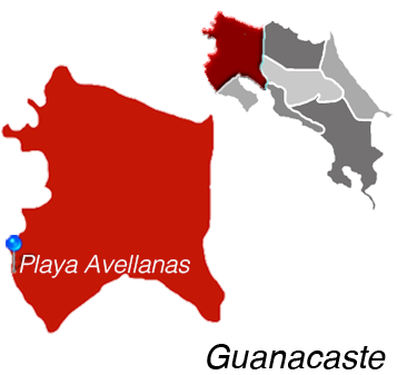 Playa Avellanas Town Map
