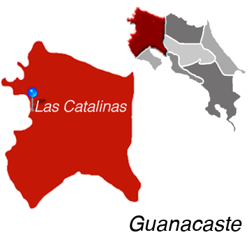 Las Catalinas Town Map