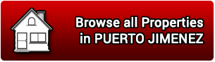 Properties for Sale in Puerto Jimenez