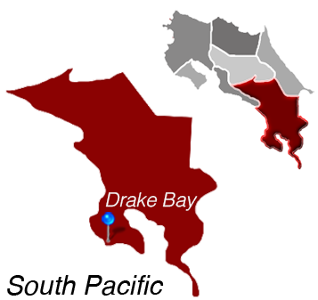 Living the Drake Bay Lifestyle