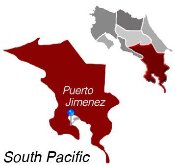 Living the Puerto Jimenez Lifestyle