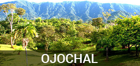 Living in Ojochal