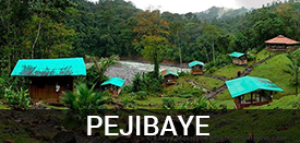 Living In Pejibaye
